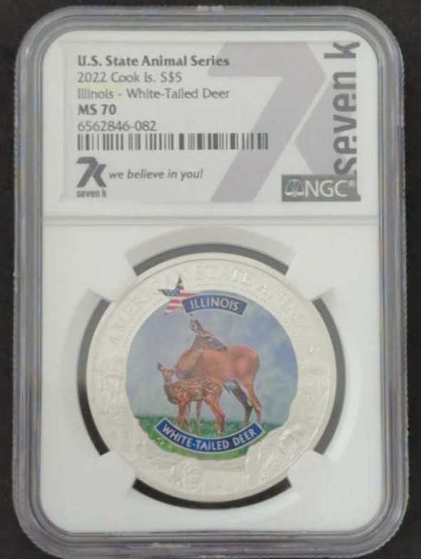 American Eagle - 2020 W