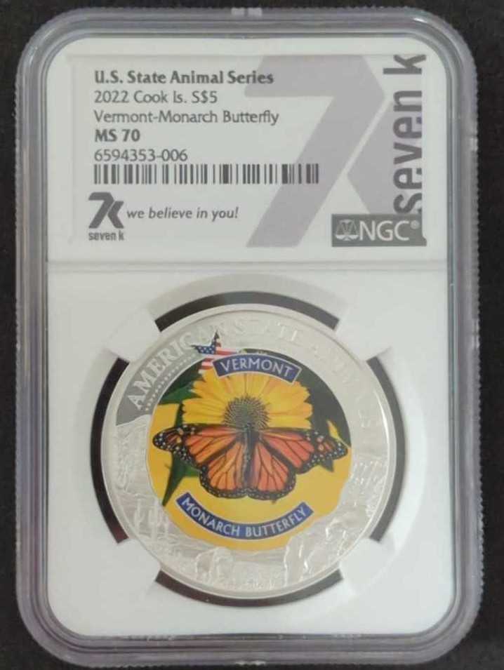 Animal Kingdom (Warthog)