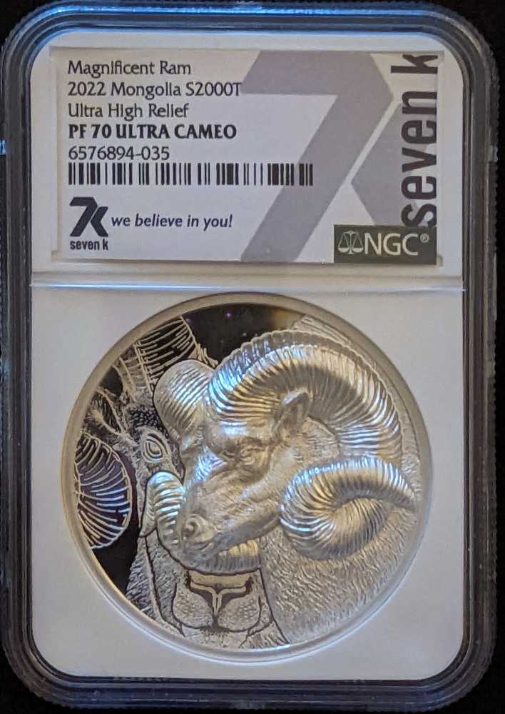 Braided Hair Canadian Cent