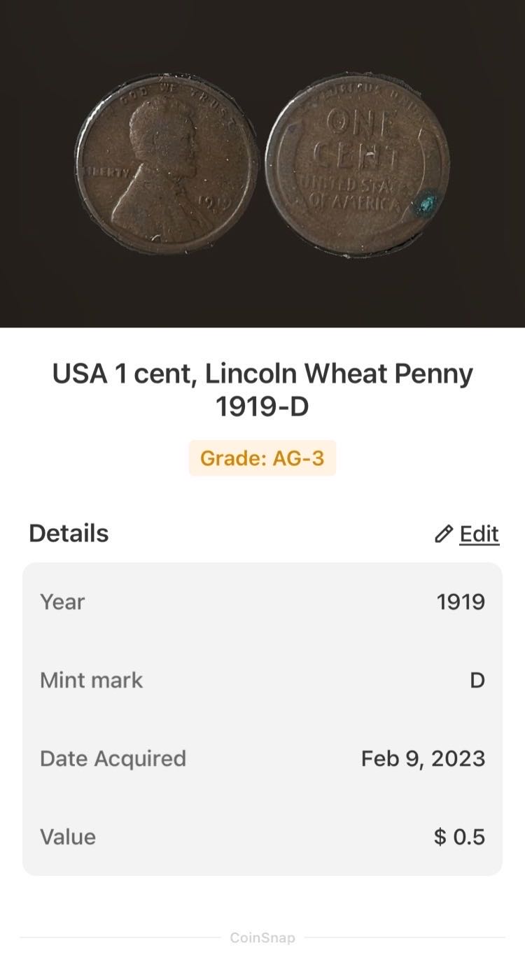 World Of Disney (Jasmine)