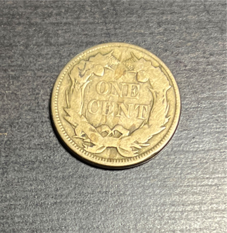 Flying Eagle Penny - 1857  coin collectible - Main Image 4