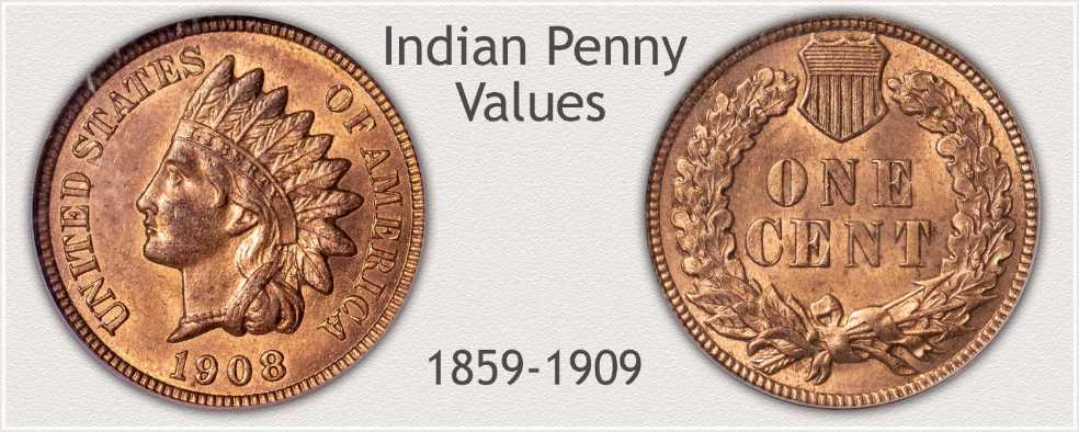 Penny Info Indian Head  coin collectible - Main Image 3