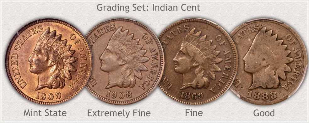Penny Info Indian Head  coin collectible - Main Image 4