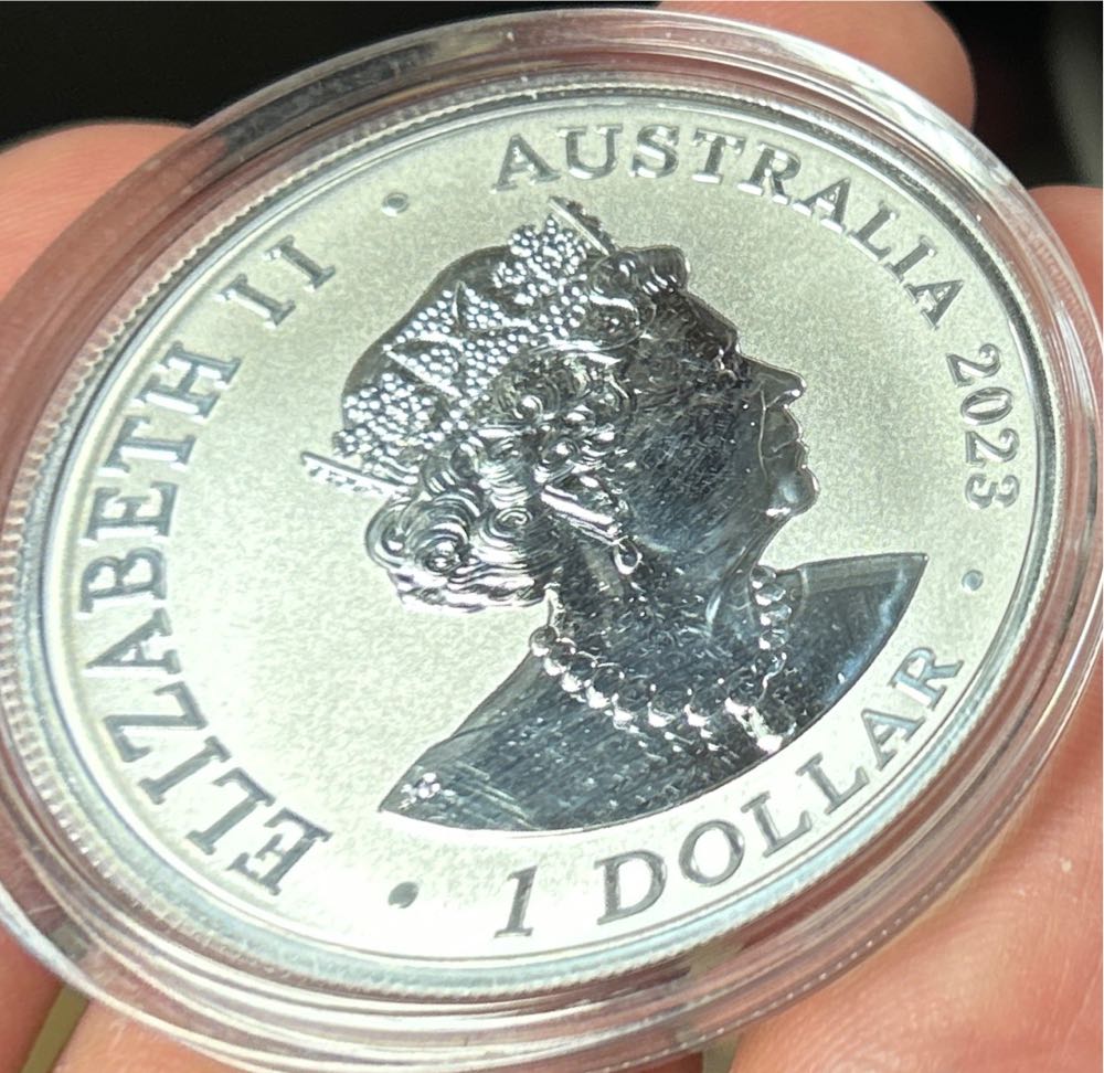 Australian Box Jellyfish  coin collectible - Main Image 2
