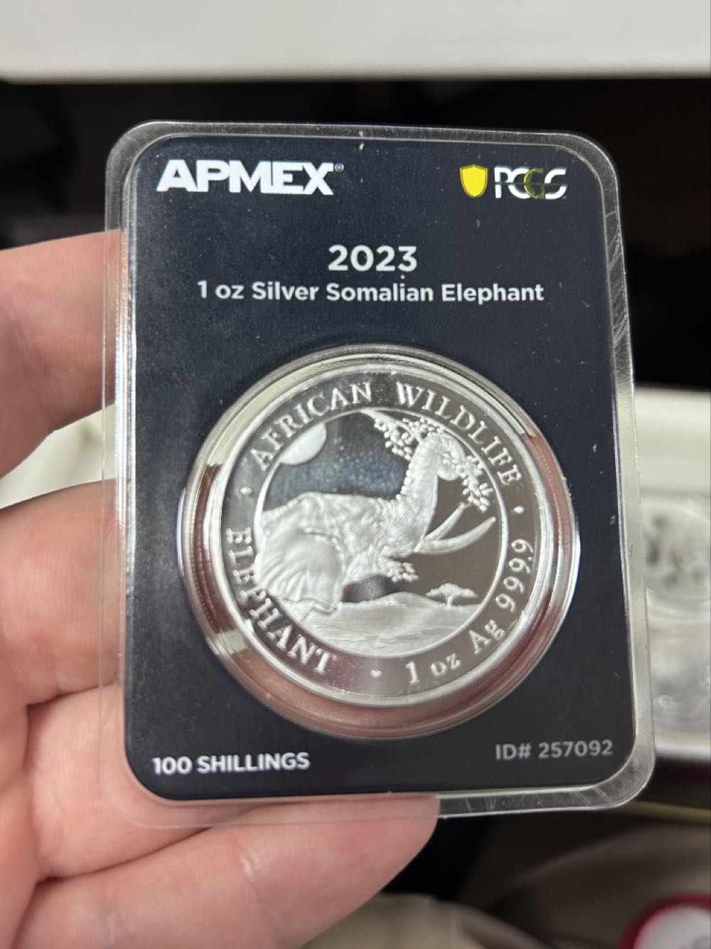 Somalian Silver Elephant 2023  coin collectible - Main Image 1