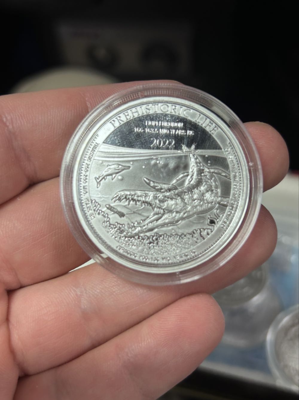 Roman Coin- Domitianvs Caesar