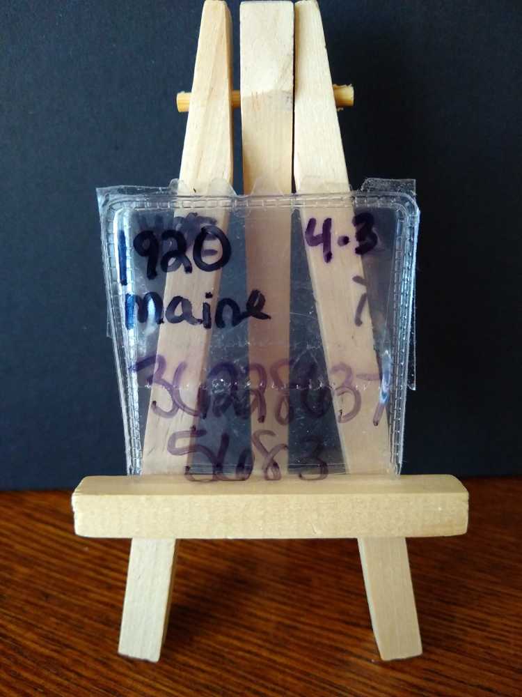 Maine 1920  coin collectible - Main Image 4