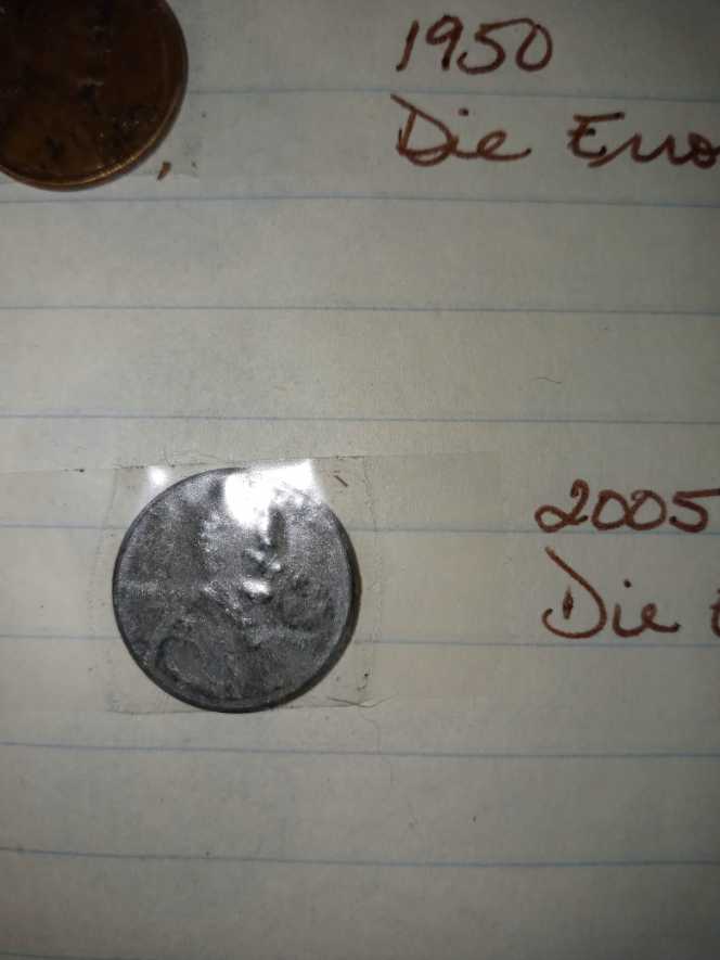 Magic Kingdom (Jungle Cruise Elephant)