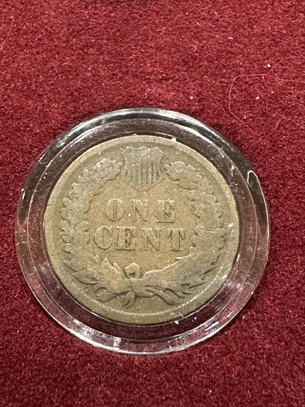 Pennies Indian Head Collection  coin collectible - Main Image 4