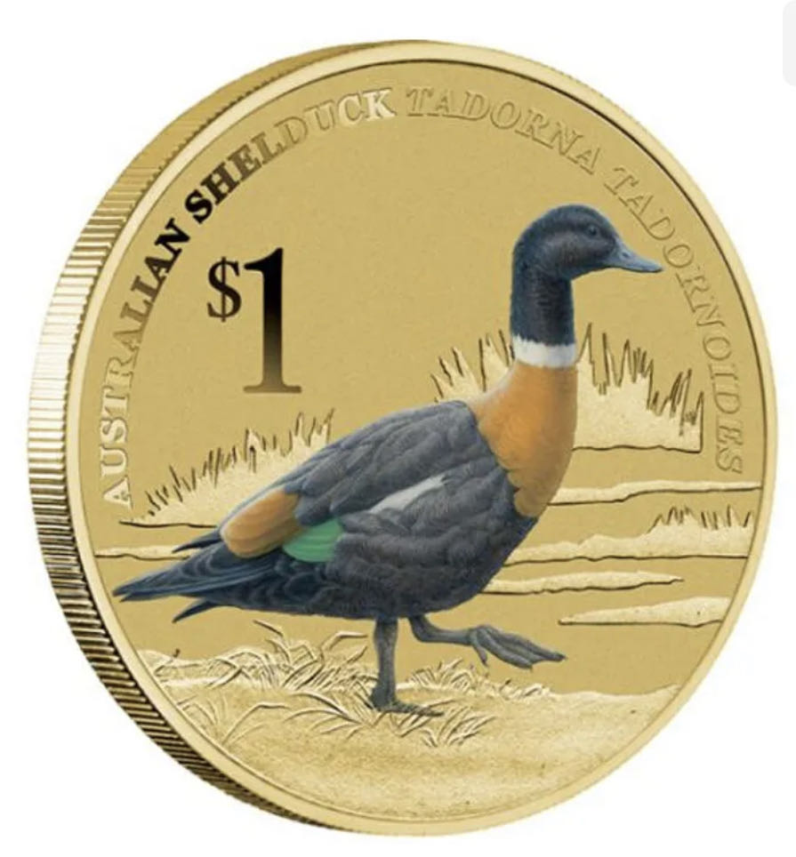 Australian Birds Shelduck Tuvalu $1  Dollar Coloured UNC Coin Carded  coin collectible [Barcode 9312650602338] - Main Image 2