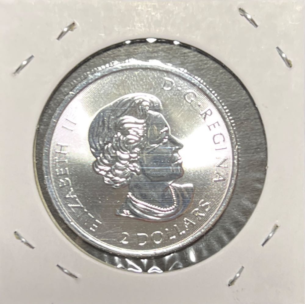 Canada Polar Bear - 2019 1/2 Oz Silver  coin collectible - Main Image 2