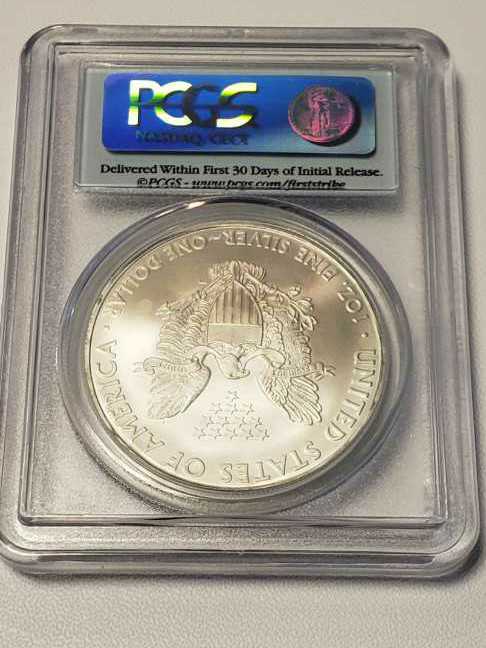 2010 United States Mint American Eagle One Ounce Silver Coin   coin collectible - Main Image 2