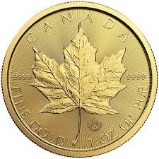 2023 Canadian Silver Maple 