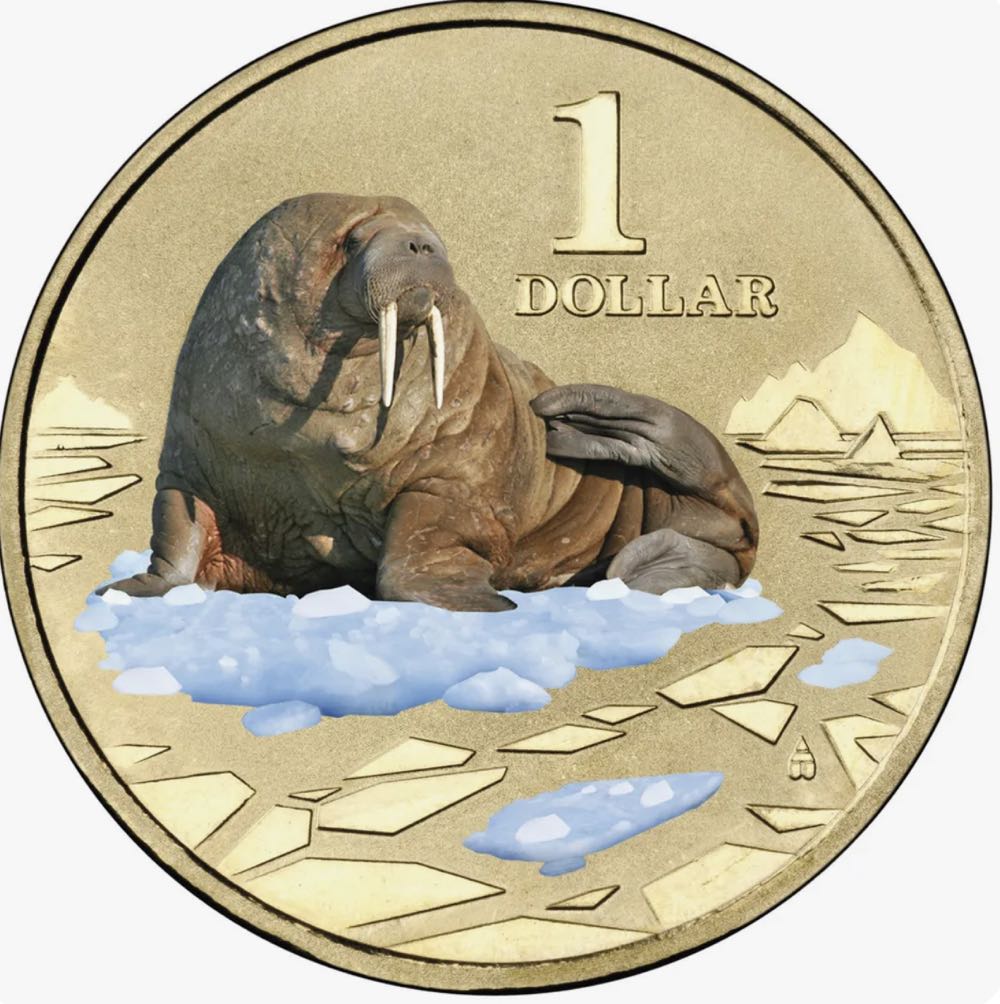 Polar Animals - Walrus  coin collectible [Barcode 9314683102229] - Main Image 2