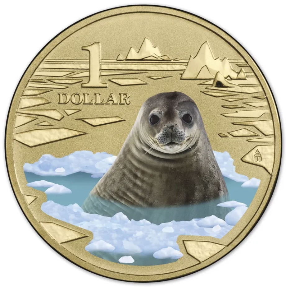 Polar Animals- Weddell Seal  coin collectible [Barcode 9314683102199] - Main Image 2