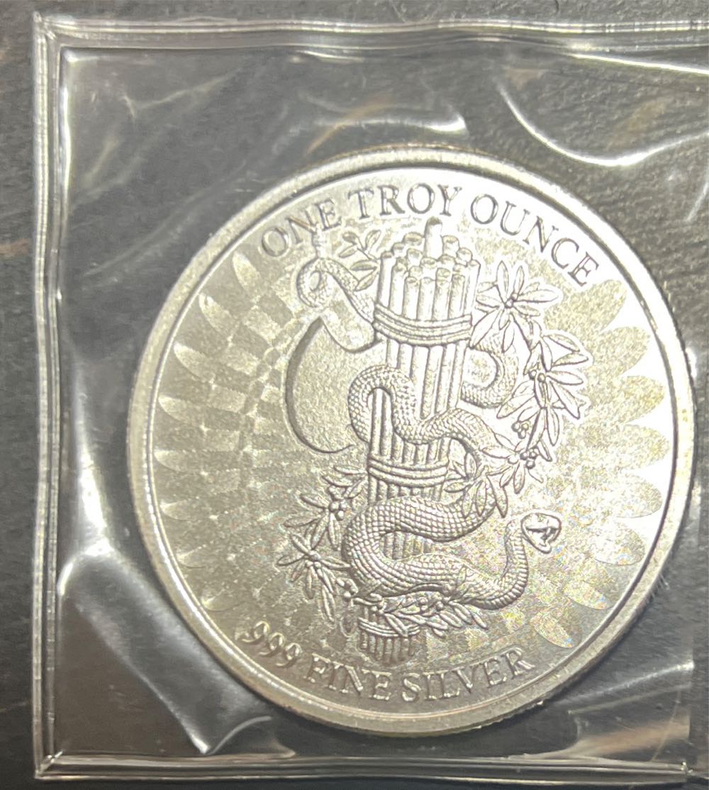 No Name Snake With Liberty Warrior  coin collectible - Main Image 2