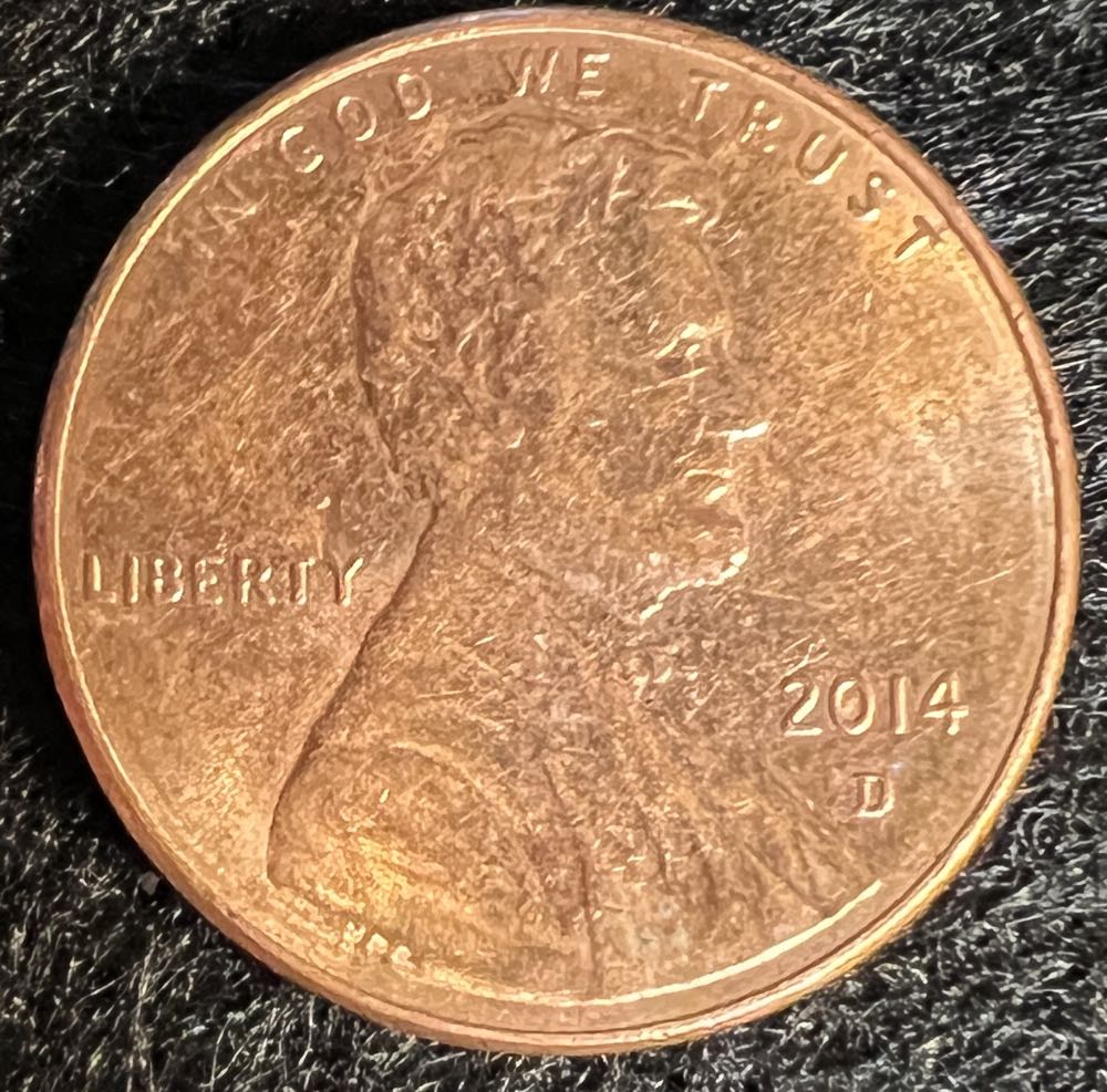 Australian Kangaroo #54