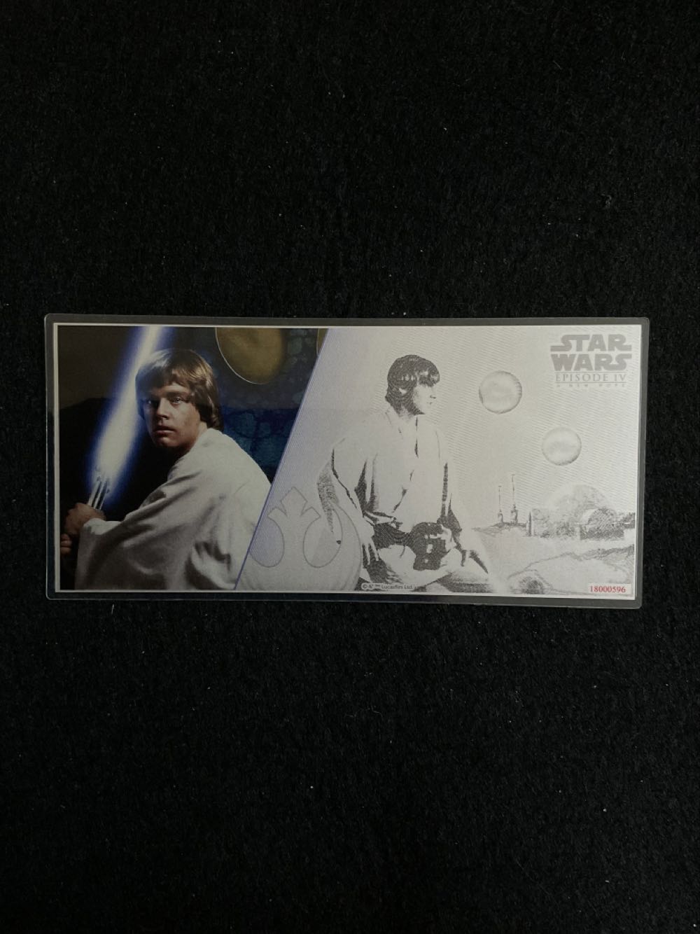 2023 Canadian Silver Maple 