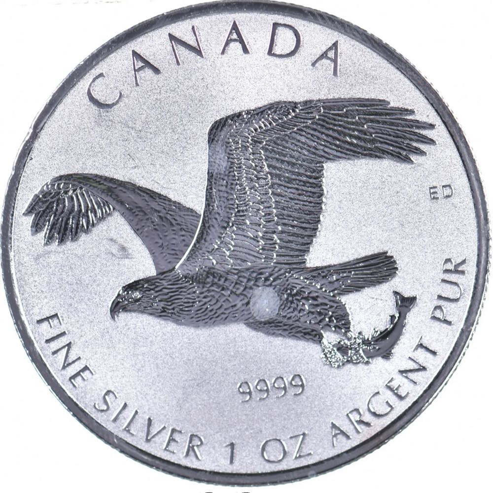 Kennedy 2013 Confederate 1st Florida Infantry 