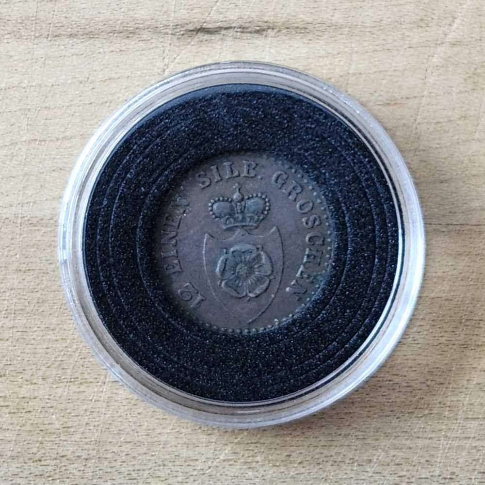 2015 Kangaroo Series Explorer's First Sightings