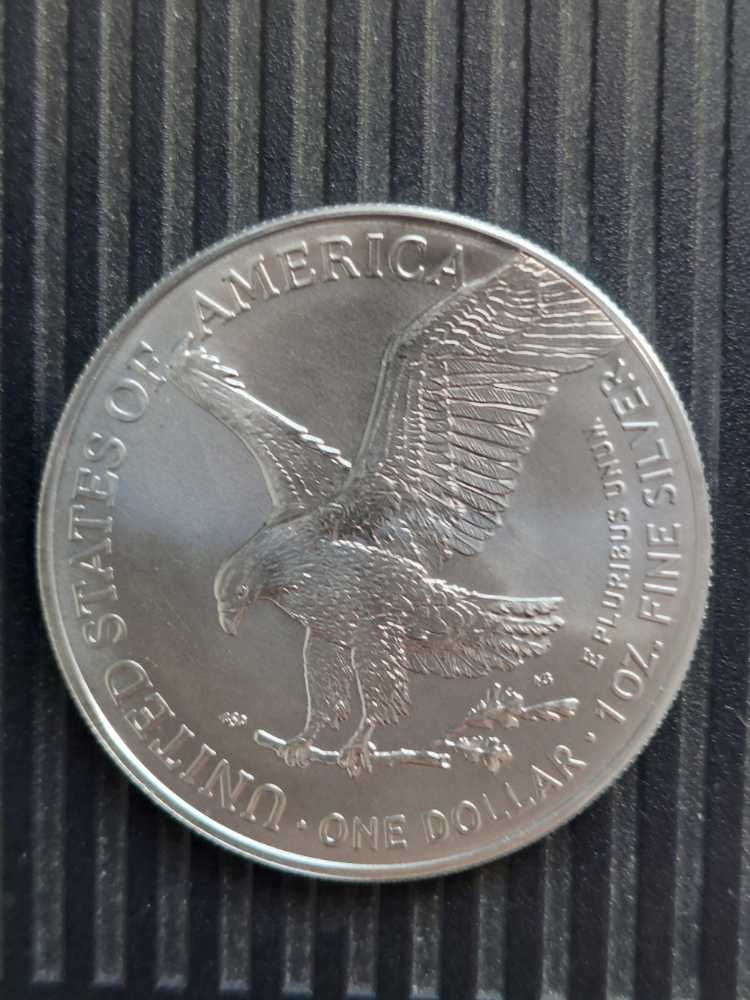 Dollar Silver Eagle W T2  coin collectible - Main Image 2