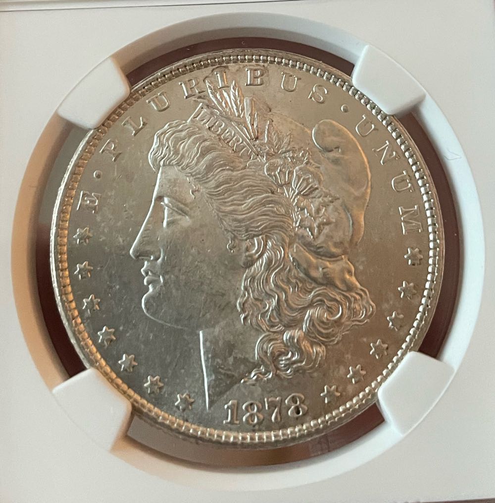 Morgan Silver Dollar - 1896