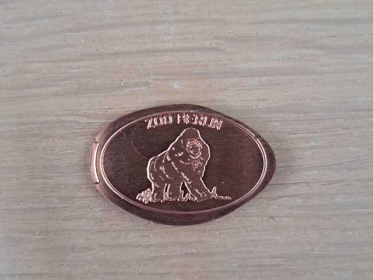 Australian Air Series - Sacred Kingsfisher