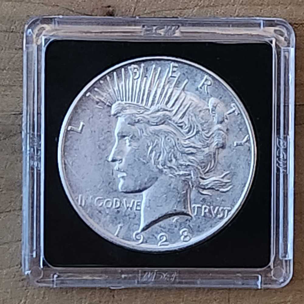 Panda | 2017 ¥50 NGC