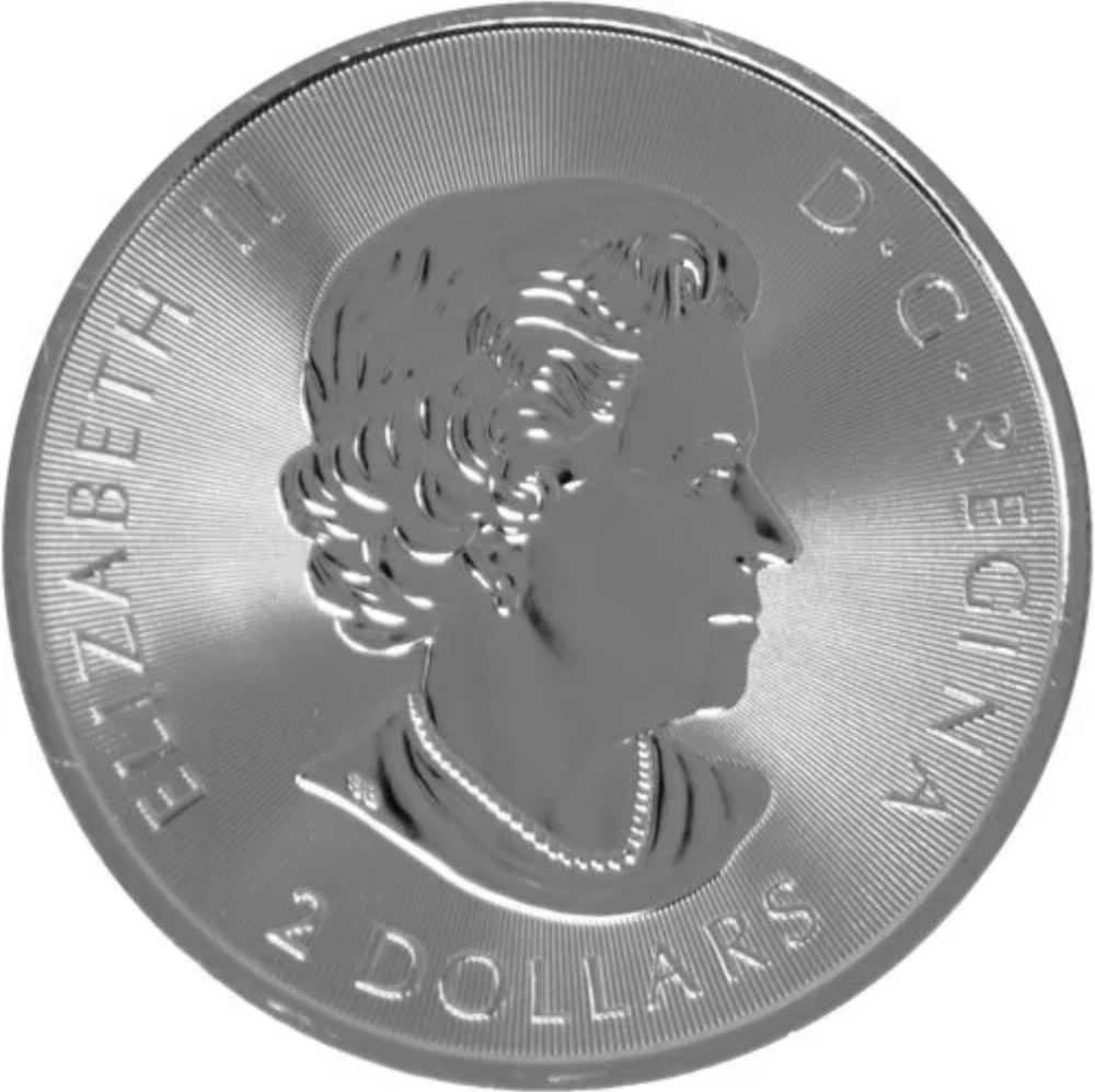 Canadian Silver Polar Bear 2019  coin collectible - Main Image 2