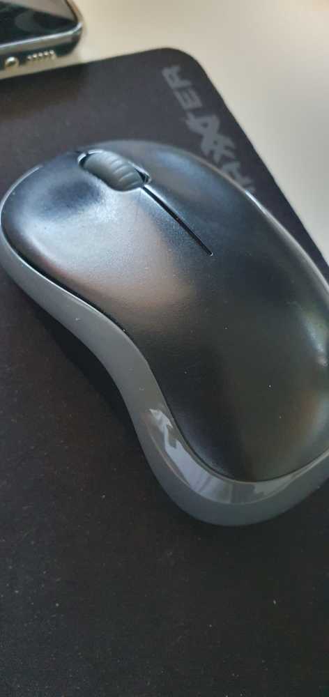 Universal Studios (2023) - Black Panther