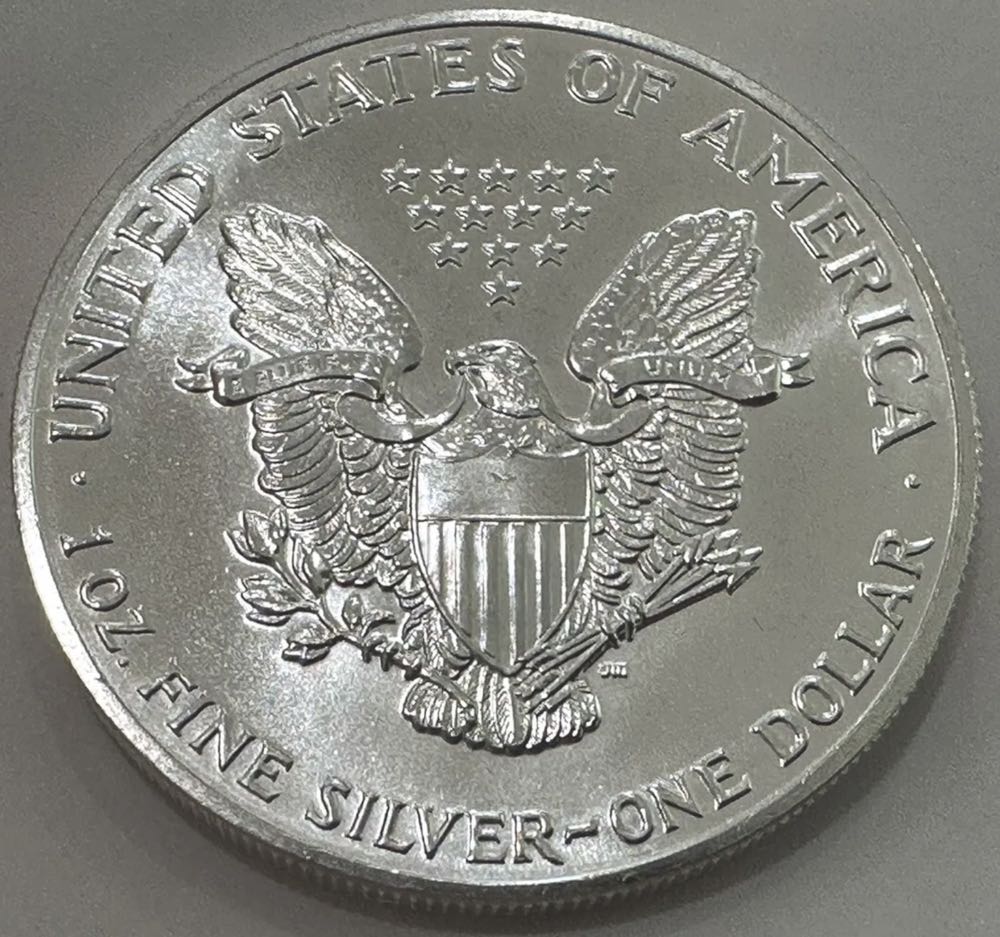 American Silver Eagle 1989 - #143  coin collectible - Main Image 2