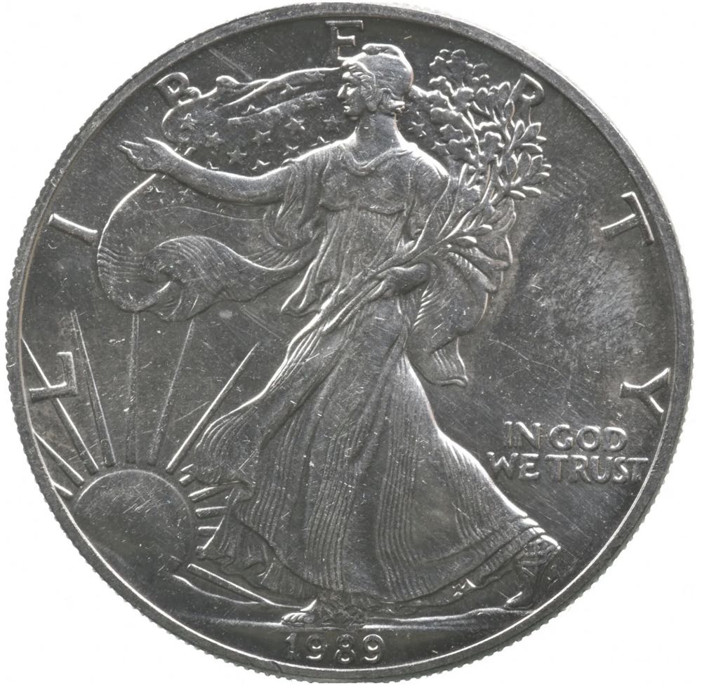 2015 Kangaroo At Sunset