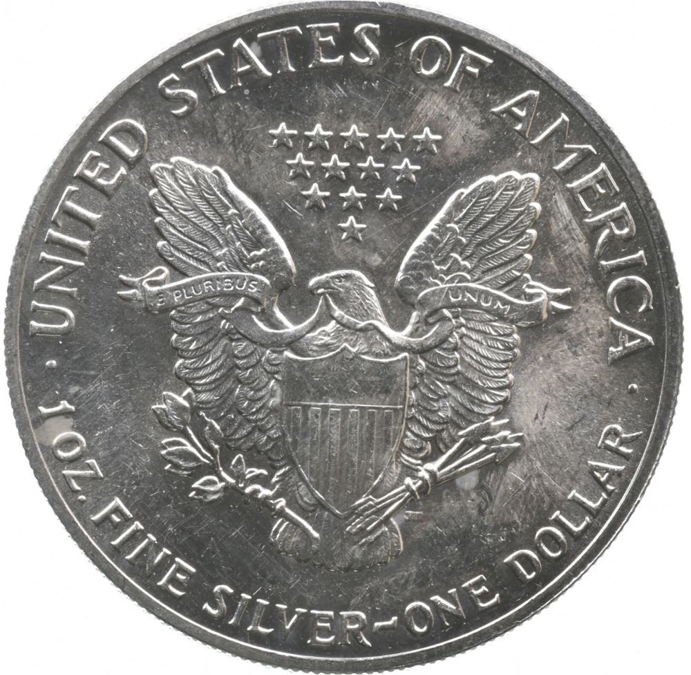 American Silver Eagle 1989 - #149  coin collectible - Main Image 2