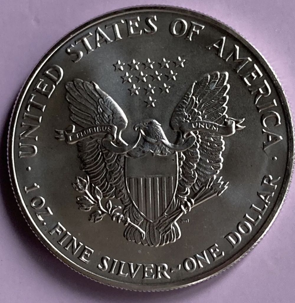 American Silver Eagle 1991 - #151  coin collectible - Main Image 2
