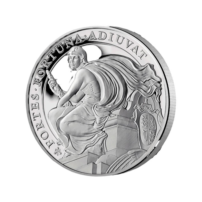 American Eagle - 2011 W Burnished Vaultbox 2