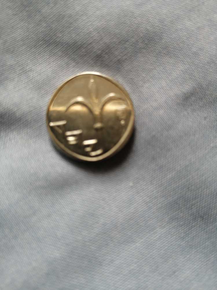 New Shequel  coin collectible - Main Image 2