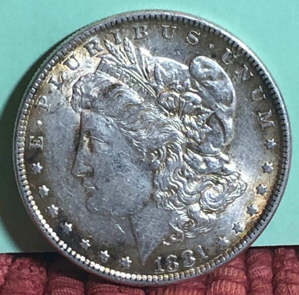 Bantha Skull (DRM0017)