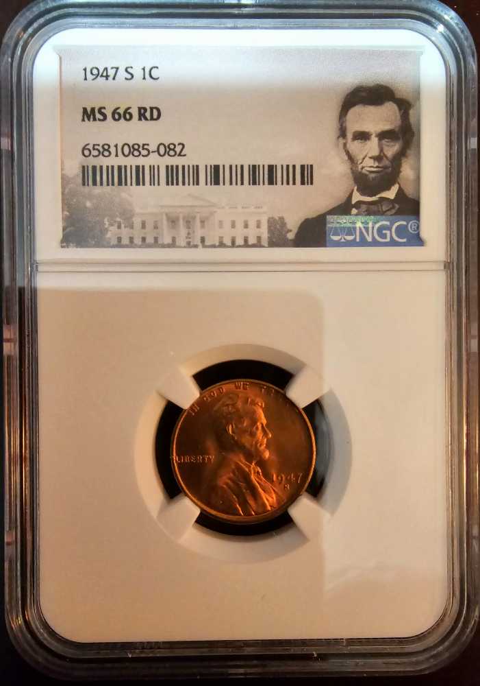 2023 Panda - Standard