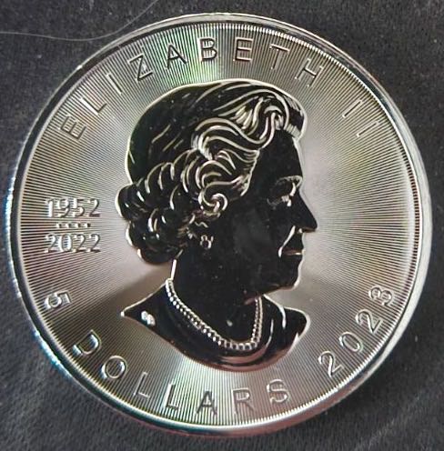 Canadian Maple, 1oz, 2023, #192  coin collectible - Main Image 2