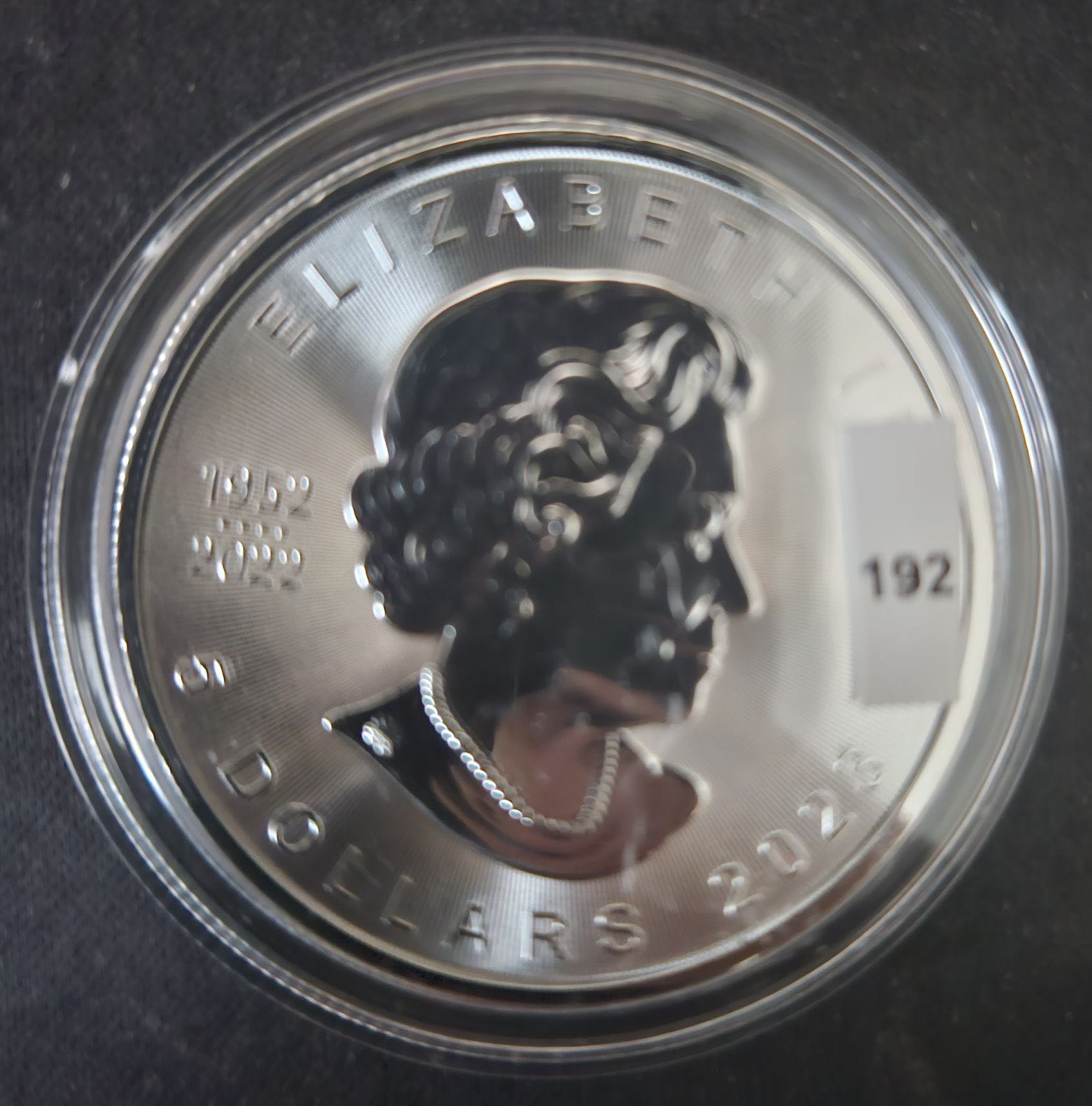 Canadian Maple, 1oz, 2023, #192  coin collectible - Main Image 3