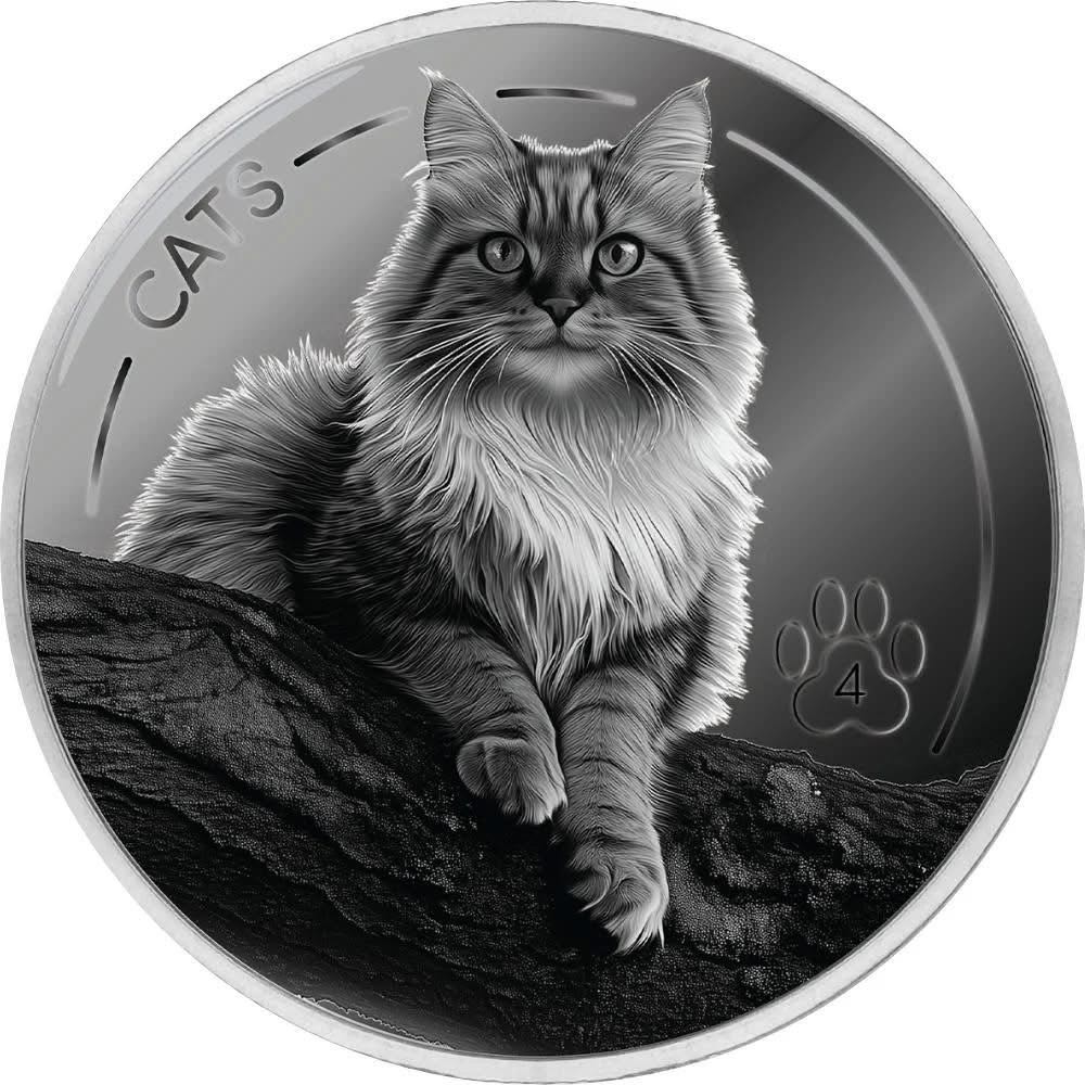 Cats | 2025  coin collectible - Main Image 3