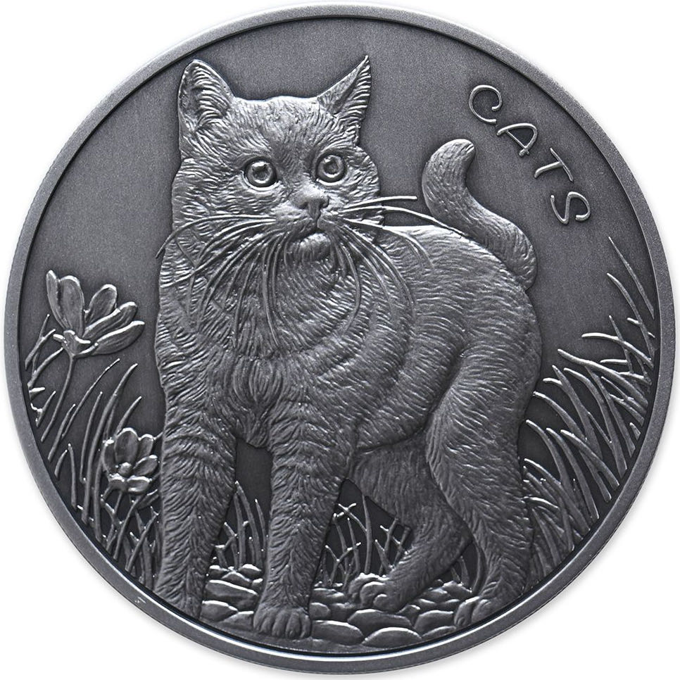 Cats | 2021  coin collectible - Main Image 4