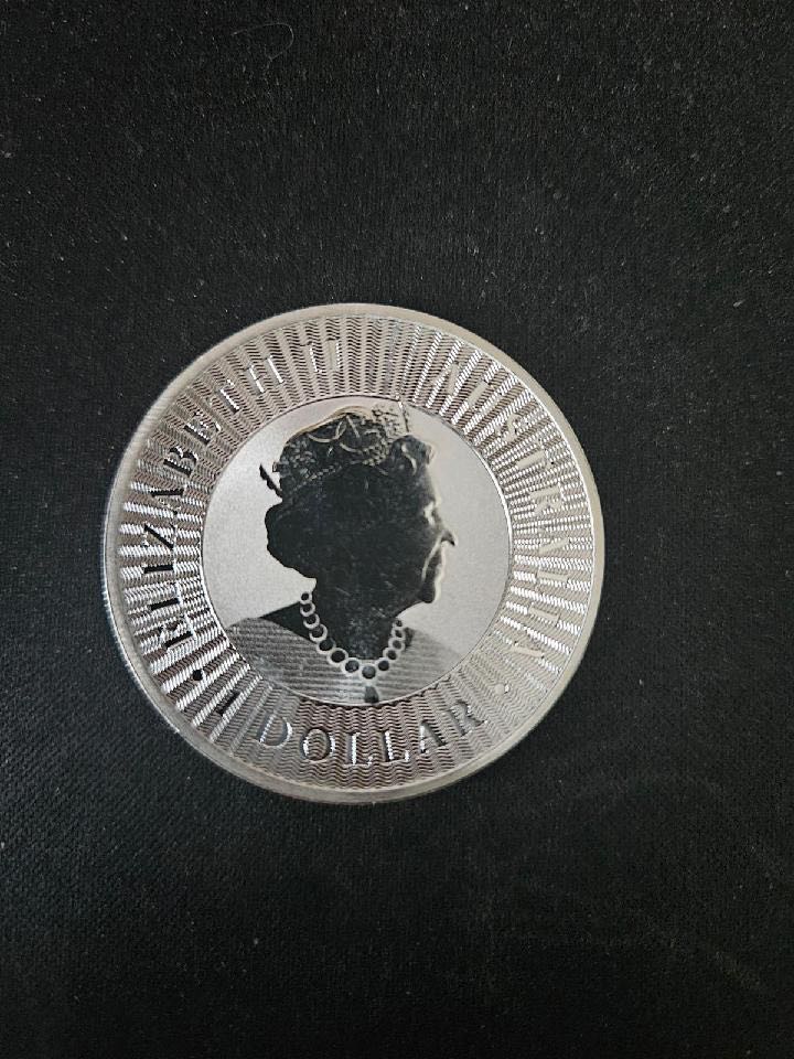 Australia Kangaroo World Silver, 2022,  *176  coin collectible - Main Image 2
