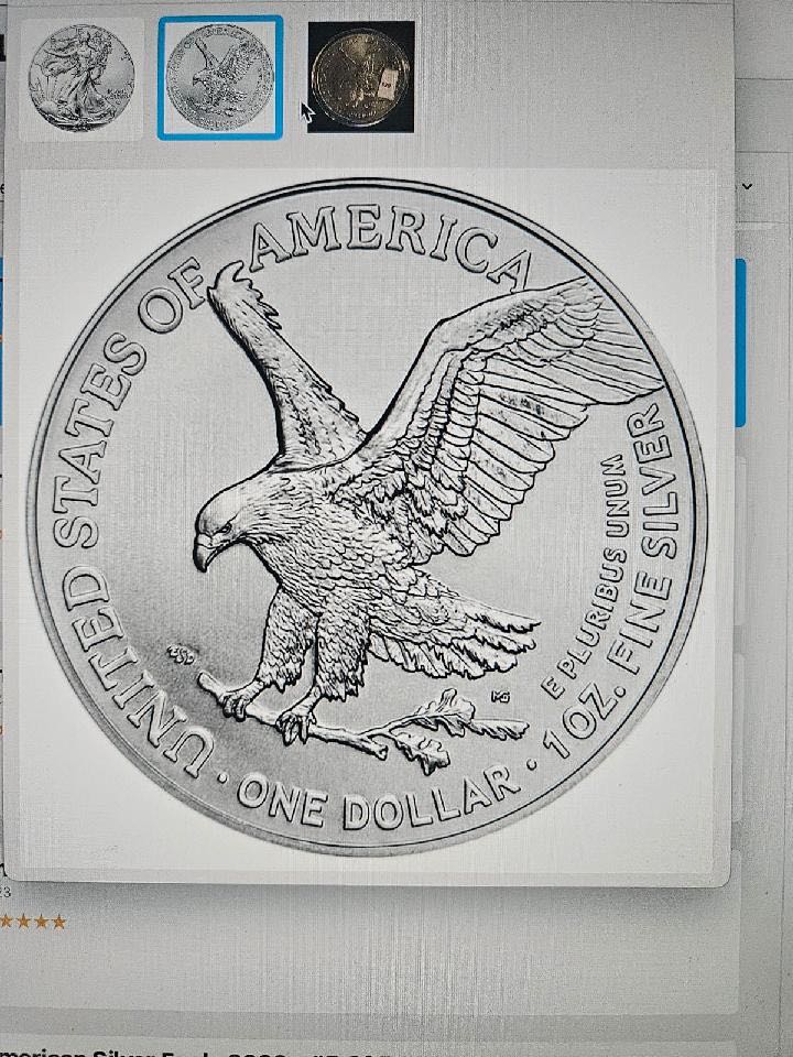 Silver Eagle Dollar  coin collectible - Main Image 2