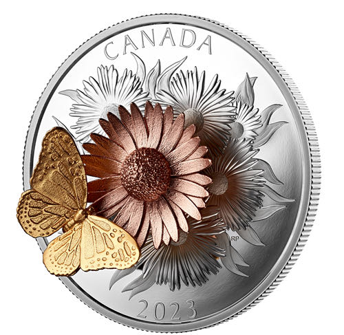 Air Force Aviation Your Loving Son Clem Prestige Cover 00275 10000