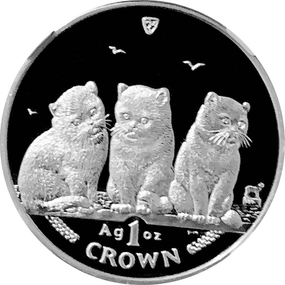 Kookaburra | 1999 Spain