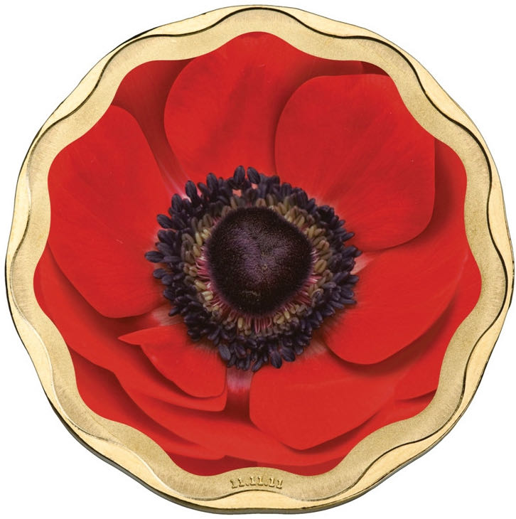 Myth 2017 | Dragon & Phoenix NGC