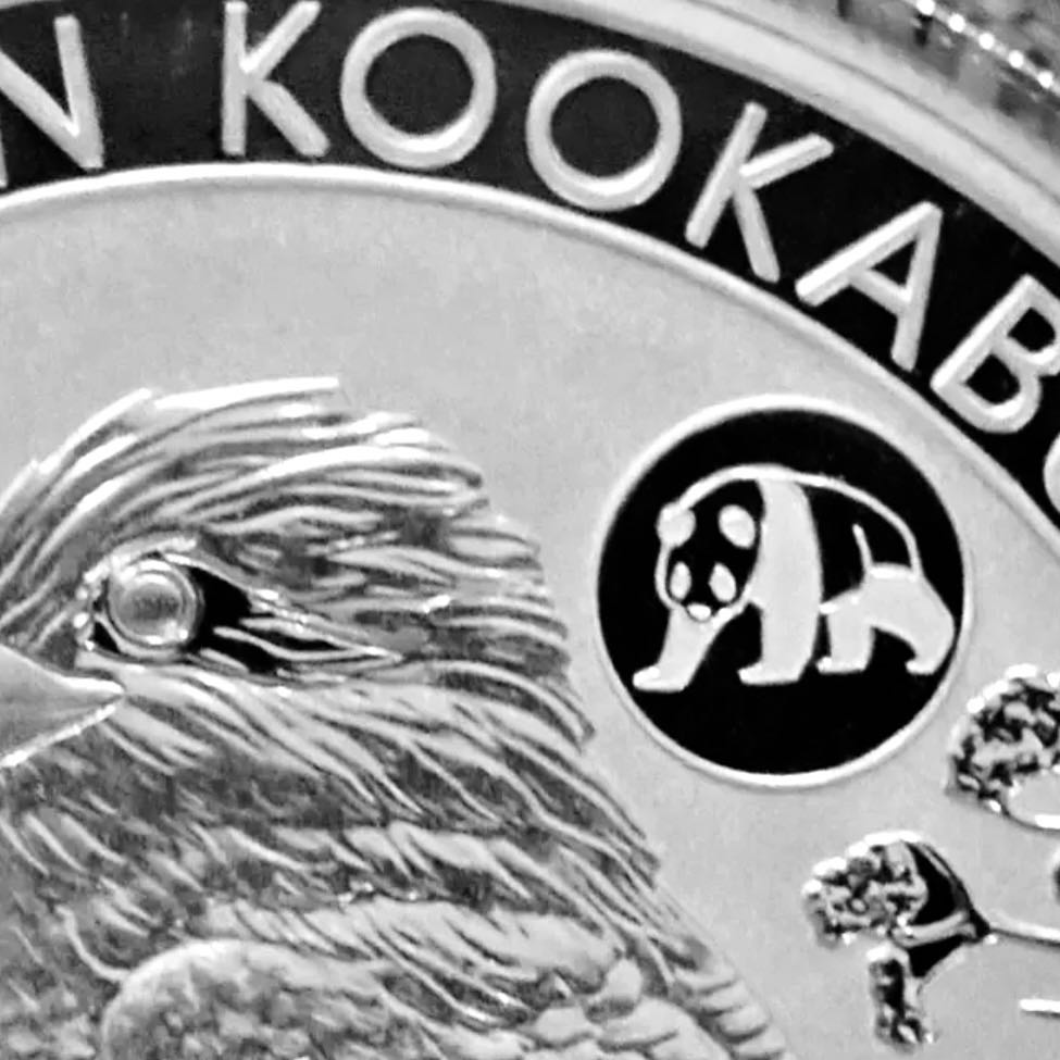 Kookaburra | 2019  coin collectible - Main Image 3