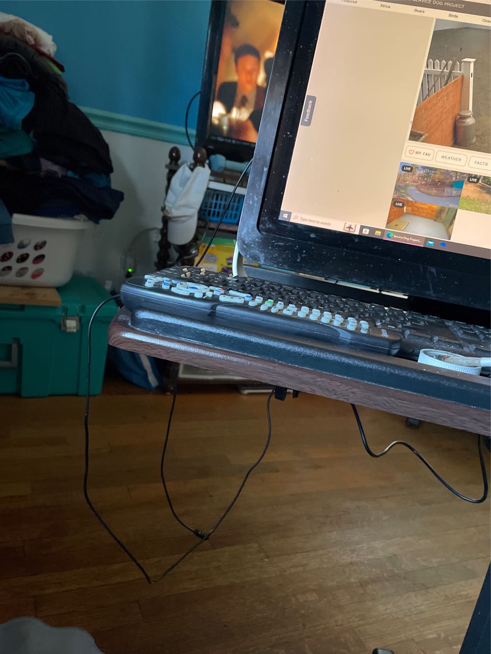 Australian Baby Coin Set