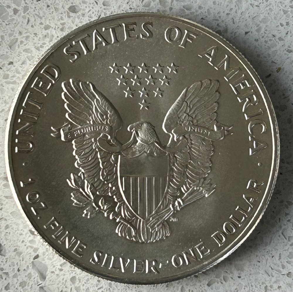 2003 Silver Eagle - Bullion Holo  coin collectible - Main Image 2